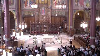 Aug. 23, 2026--Twenty-First Sunday in Ordinary Time (#A705907)