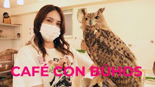 CAFÉ CON BÚHOS