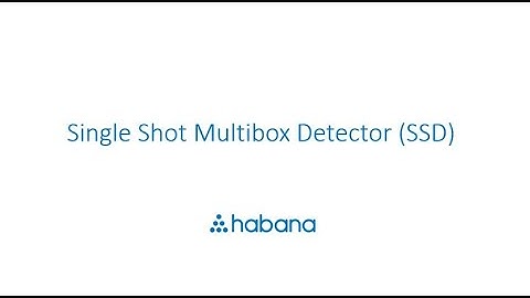 Single Shot Multibox Detector (SSD) Demo