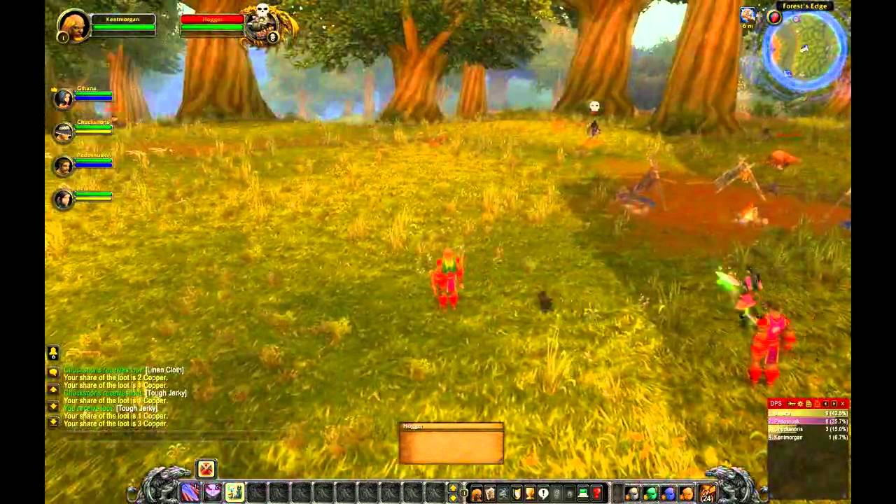 Level 1 Raid on Hogger