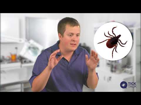 Question 1: What Does a Tick Look Like?