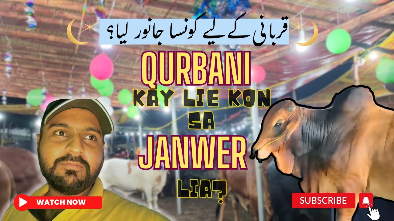Qurbani kay lie Kon Sa Janwer 🐐 🐂 Lia 🤔| Phir Se Noman Ijaz | 2023 ...