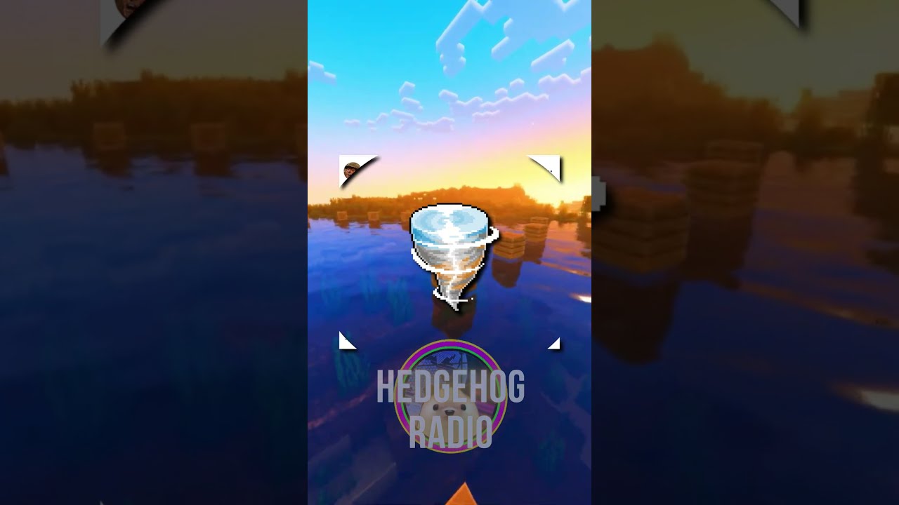Living in Ravenous Hog Country 🌪️🦔