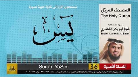 ( 36 ) سورة  يس | شيخ ابو بكر الشاطري | Sheikh Al Shatri