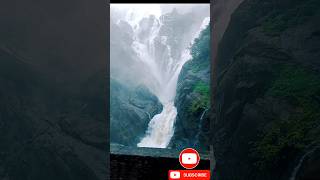 Beautiful ? dudhsagar♥️waterfall?Goa. shortvideo