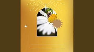 Glorious Backdrops for New Year New Projects