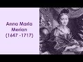 Anna maria sybille merian minibio6  sur les paules de gantes