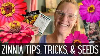 ZINNIAS: Tips, Tricks, & Seeds 🌸🌸🌸 || All About Zinnias || How To Grow Zinnias From Seed