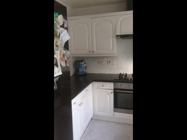 Video 1: