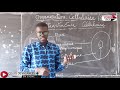 Organisation cellulaire  ultrastructure cellulaire part 1  cours svt 1re