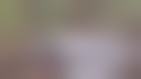 Best Fails Of The Week 3 November 2014 FailArmy