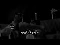 اضيع به كلي واذوب