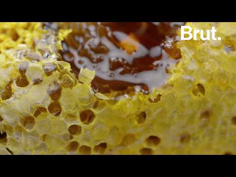 Vidéo: Pourquoi Les Abeilles Construisent Des Nids D'abeilles