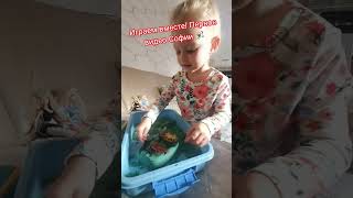 Играем Вместе! #ИграемВместе #ПервоеВидео #Влог #YouTubeKids #ДетскийКанал #SofiaPlay #newblog