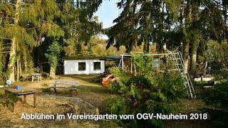 ABBLÜHEN 2018 im OGV-Vereinsgarten von Nauheim