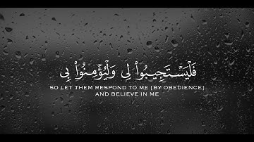 القارئ " شريف مصطفى ( وَإِذَا سَأَلَكَ عِبَادِي عَنِّي فَإِنِّي قَرِيبٌ ۖ ….  )