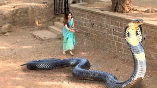 लड़की का पति बन गया इच्छाधारी नाग | Icchapyaari Naagin | New Naagin Episode 2023