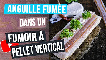 Comment fumer une anguille à froid ?