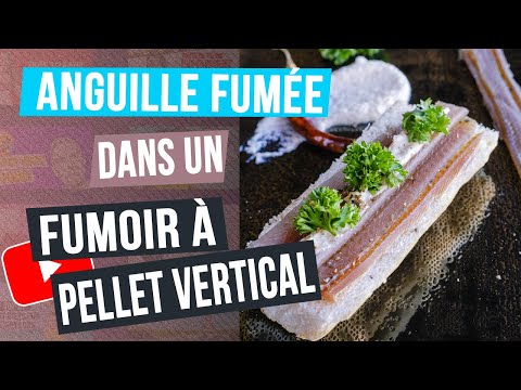 Vidéo: Comment Fumer L'anguille