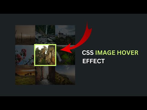 CSS Image Hover Effects Tutorial | Hover Effect CSS