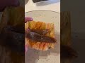Испанские закуски #shorts