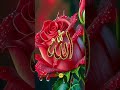 Sabse pyara naam || Allah || Mohammad #aestheic