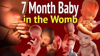 This Is Exactly What Baby In Womb Does in 7th Month Of Pregnancy - A Delight To Watch And Know