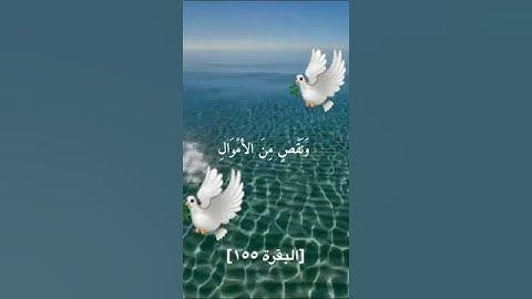 عبدالباسط عبدالصمد l تلاوات نادرة l سورة البقرة #quran #تلاوات #mekkah #خشوع #islam #رمضان_2024 #روح