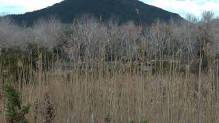 S'Albufera de Mallorca (park natural), Spain