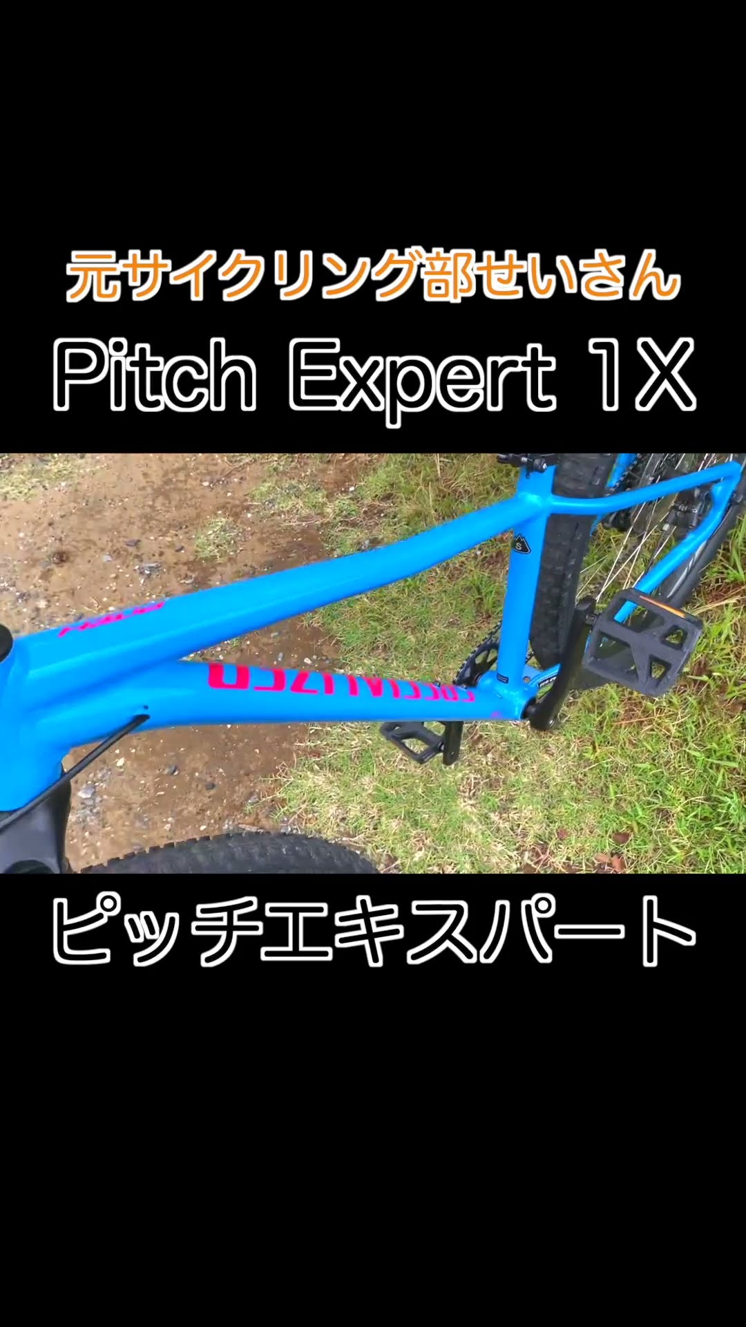 SPECIALIZED Pitch Expert 1X スペシャライズド ピッチエキスパート