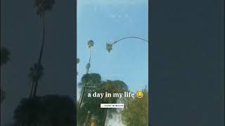 Man Risks His Life By Cutting 100-Foot Californian Palm Tree