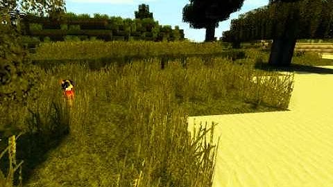 Minecraft Realism - Update - Motion Blur, Dynamic Shadows, Waving Leaves, LB256x
