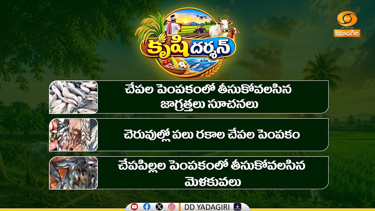 కృషిదర్శన్  | చేపల పెంపకంలో తీసుకోవాల్సిన జాగ్రత్తలు సూచనలు |  #Krishidarshan