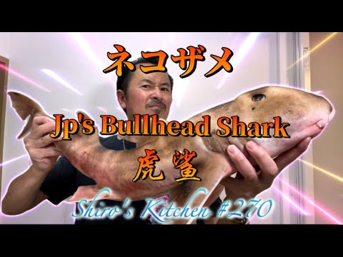 ネコザメ #270 Jp's Bullhead Shark 虎鲨 - YouTube