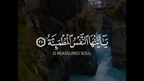 القارئ خالد الجليل سورة (الفجر)