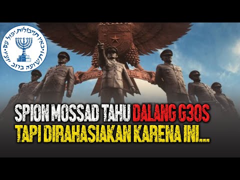 Video: Tutup Encounters Dengan Marine Mamalia: Dengan Harga Apa? Jaringan Matador