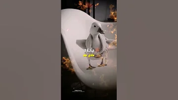 بقولو عني بارد فيكتي منا اصلا بارد 