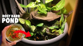 DIY Mini Indoor Pond With Waterfall