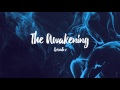 The Awakening #2