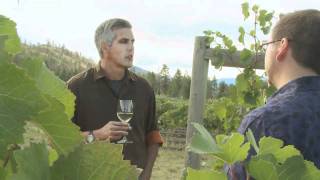 WineSenseTV.com - Pinot, Pinot, Pinot, Food