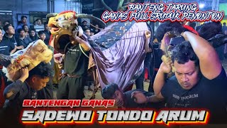 Bantengan Ganass‼️SADEWO TONDO ARUM Edisi Ngamuk Sruduk Penonton,, Mberot Party Mas Aldo Lawang