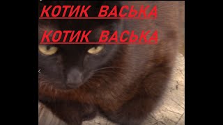 КОТИКВАСЬКА  5 СЕРИЯ