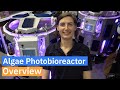 Algae Photobioreactor [Overview] - The PBR 1250L by Industrial Plankton
