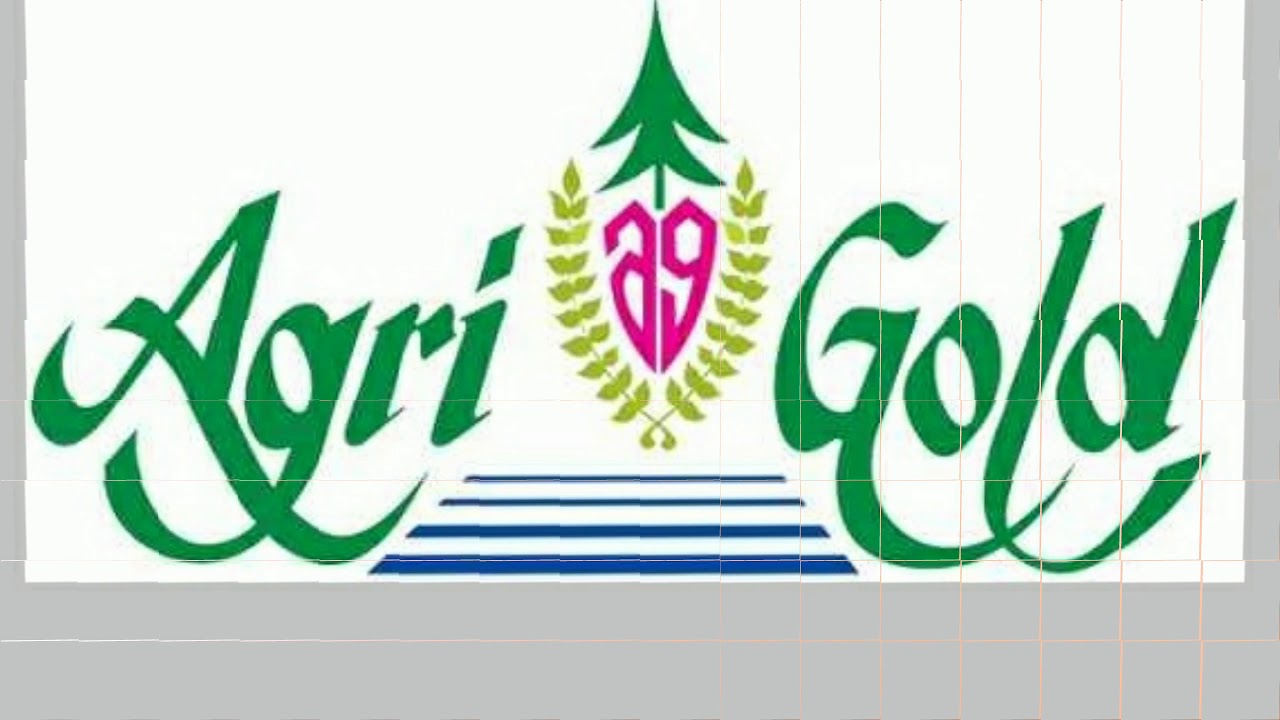 Agrigold latest news