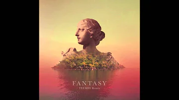 Alina Baraz & Galimatias - Fantasy (TEEMID Edition)