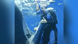 Whale spreads her mouth wide open upon sight of diver that can help her