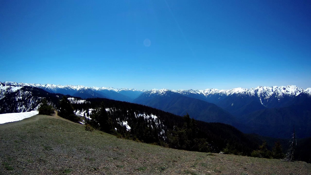 camera iphone 8 plus apk Stunning Views of Olympic Mountains from the Hurricane Hill Trail, Olympic National Park, QUAD HD
