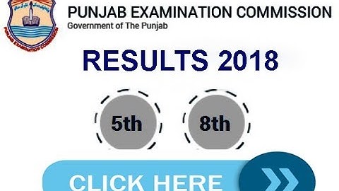 PEC RESULTS 2018 5th & 8th CLASS