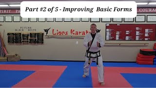 Celebrity Part #2 of 5 - Improving Basic Forms Net Worth