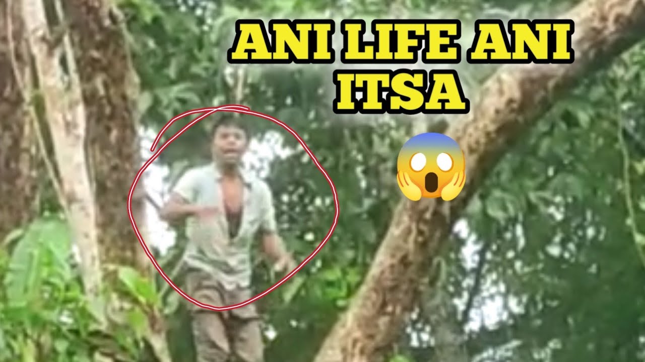 Ani life ani itsa public reaction 